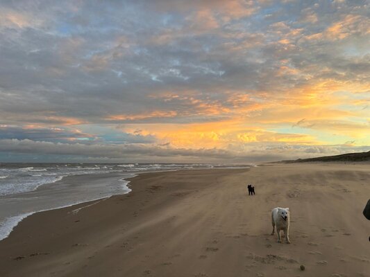 Wassenaarse strand